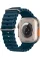 Apple Watch Ultra 2 49mm Titanium Case with Blue Ocean Band
